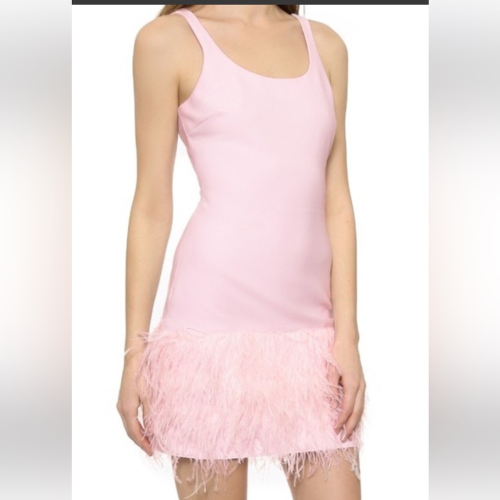 Elizabeth & James Light Pink Feather Dress size 4 NWT